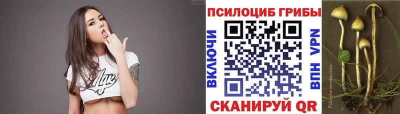 Галлюциногенные грибы мицелий  Бежецк 